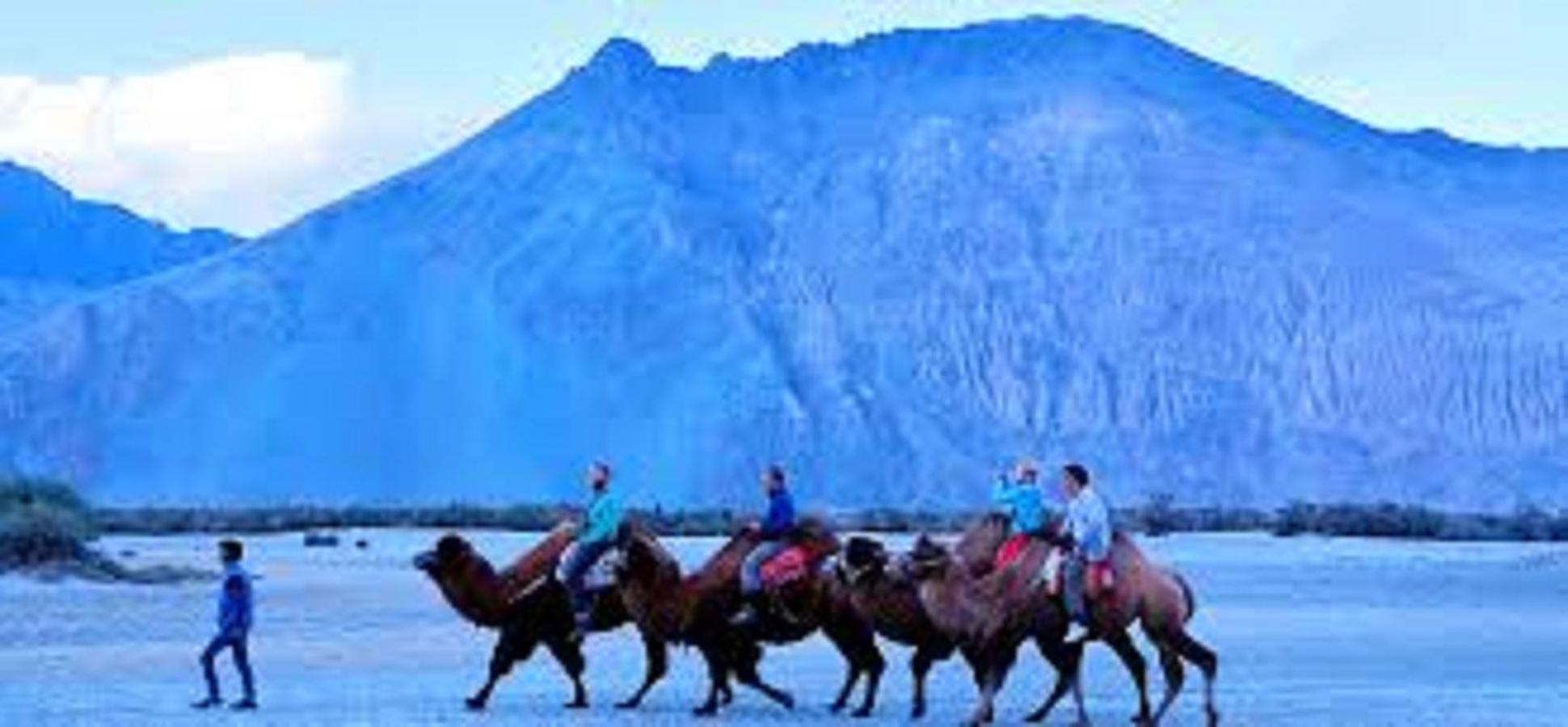 Hotel The Sky Desert ,Hunder , Nubra Charāsa Exterior foto